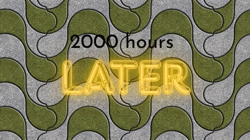 'So much later that the old narrator got tired'