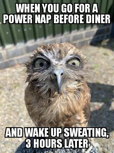 Comparing the a few moments later meme with longer waits