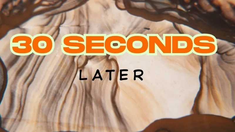 Every spongebob time card in one collection