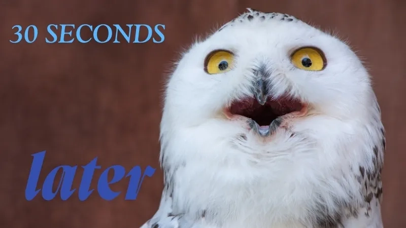 The similar 'a few seconds later' time card