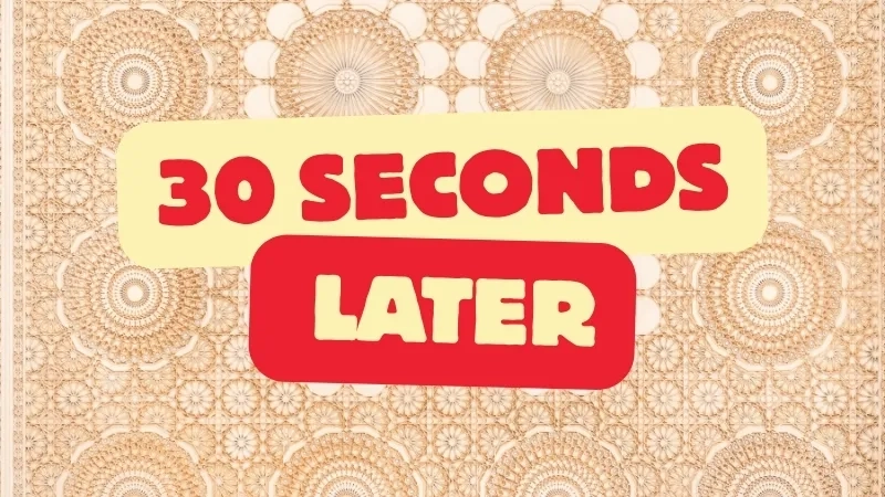 The classic 30 seconds later meme