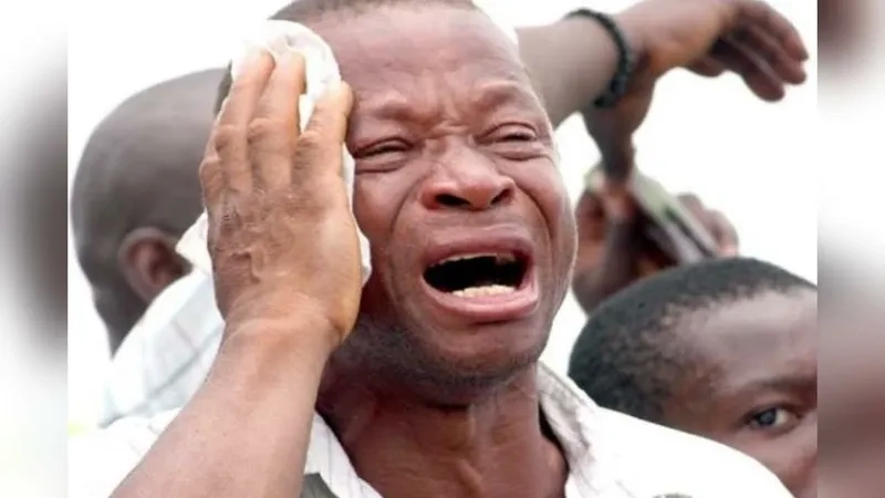 The perfect cat meme for any situation you can imagine