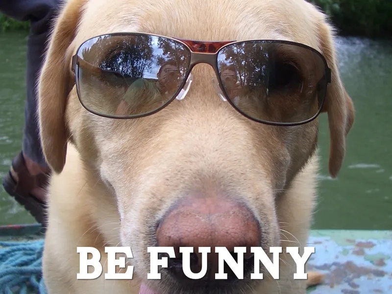 Dog side eye meme in funny context