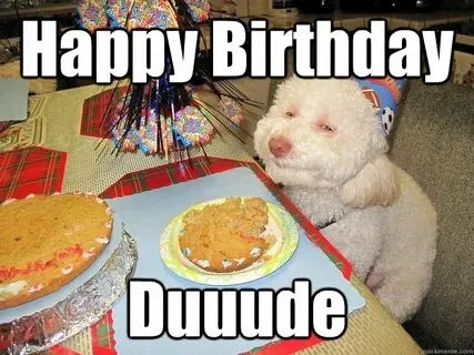 The perfect happy birthday cat meme for the feline lover in your life
