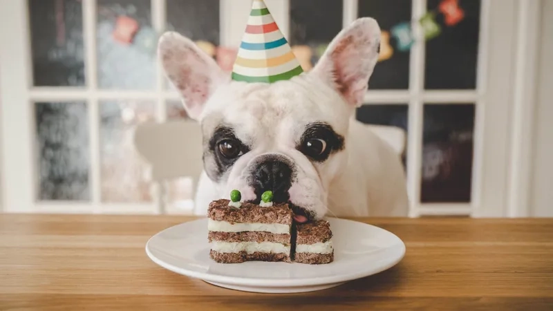 Happy birthday old man meme with cheerful fun