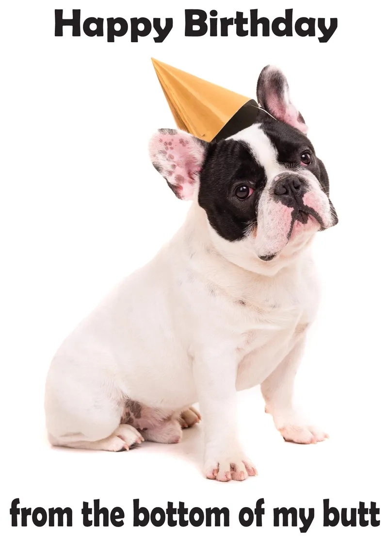 Happy birthday meme for him with classic humor