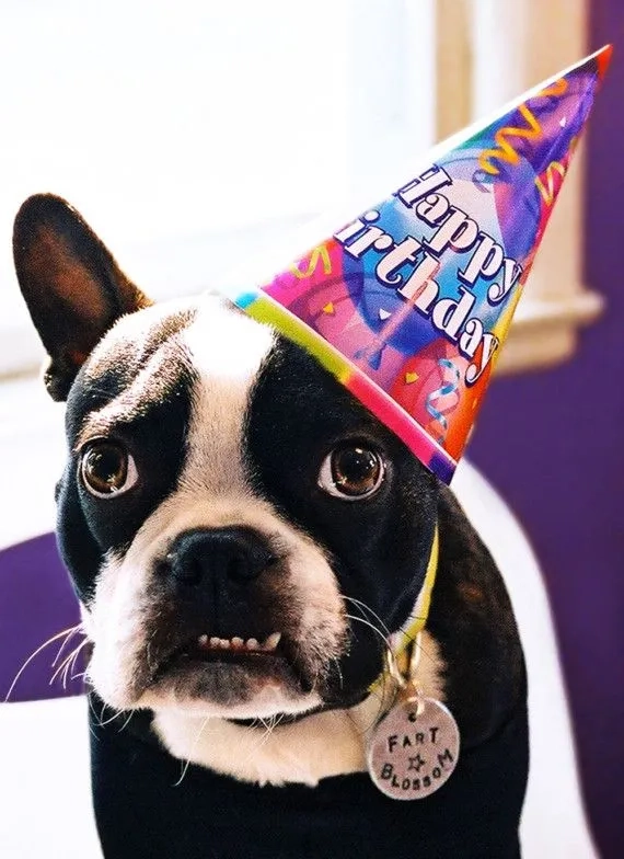 The funniest happy birthday meme for him on his special day