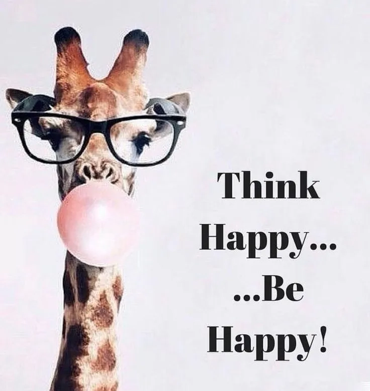 Funny happy birthday meme for lighthearted moments