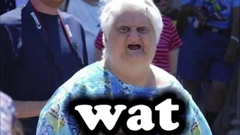 A scene from the SpongeBob 'a what' meme