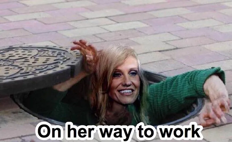 The classic gordon ramsay trash meme