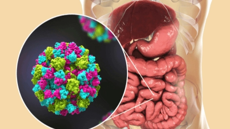 Adenovirus Gastroenteritis diarrhea symptom