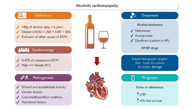 Causes of alcoholic cardiomyopathy understanding why it occurs