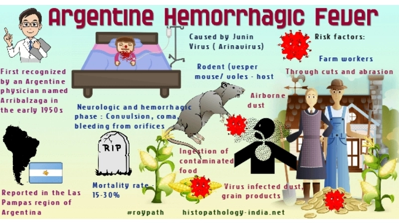 Argentine Hemorrhagic Fever Junin virus alert