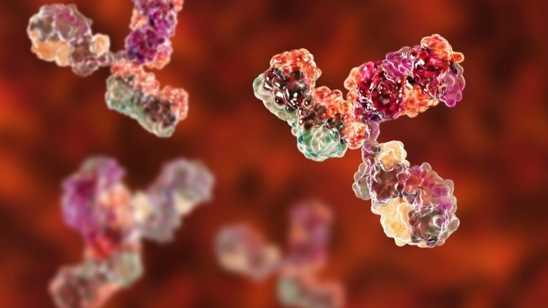 Argentine Hemorrhagic Fever causes myalgia pain