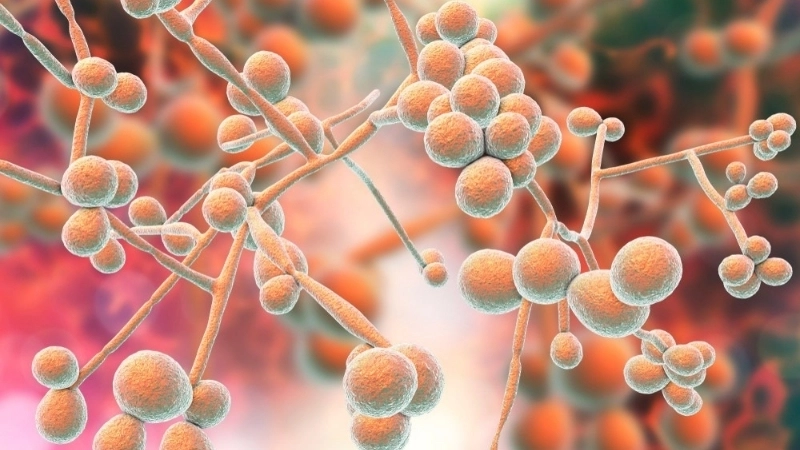 Astrovirus Infection spread during astrovirus outbreak