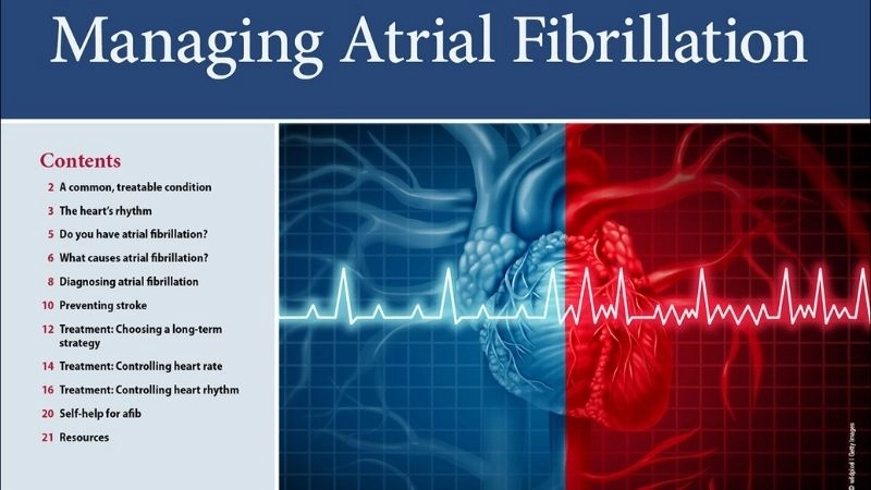 AFib diet supports heart health and rhythm stability