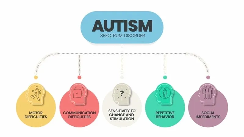 A chart detailing common autism symptoms