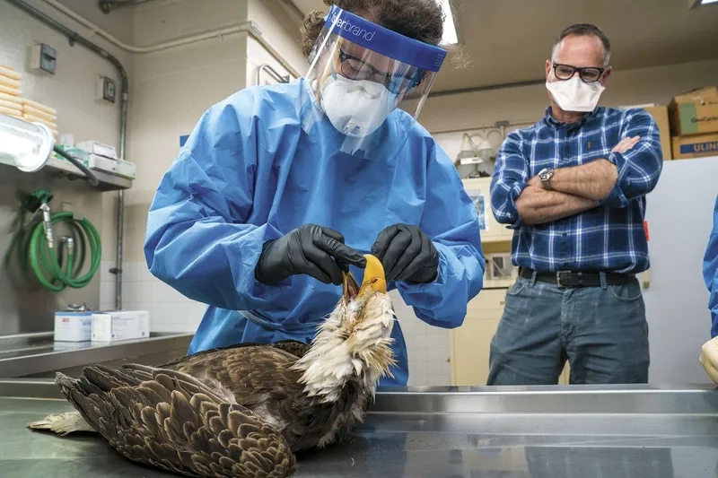 Memorial honoring a victim of an avian influenza death