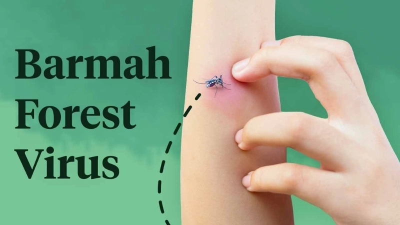 Barmah Forest Virus Disease from Barmah Forest Virus study