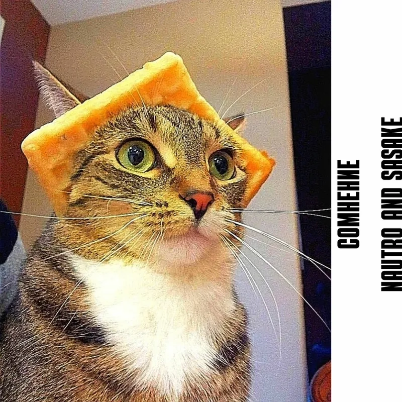 Your first mistake was thinking i was funny meme viral hit