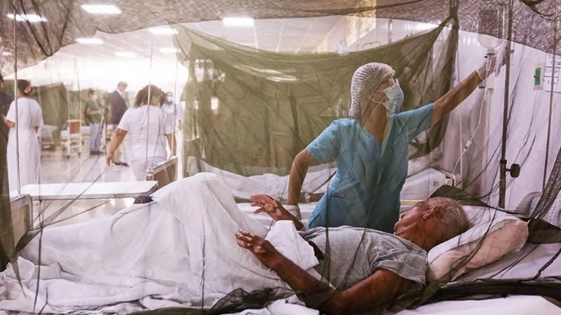 Brazilian Hemorrhagic Fever info update