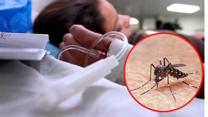 Brazilian Hemorrhagic Fever hemorrhagic fever symptoms guide