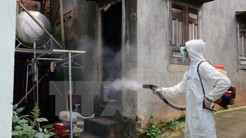 Brazilian Hemorrhagic Fever linked to hemorrhagic disease