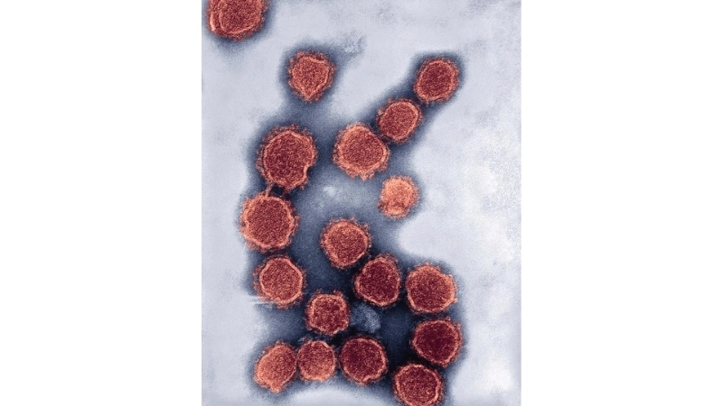 Learn safe California encephalitis treatment tips