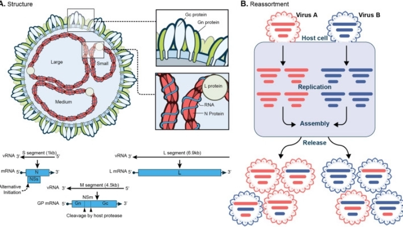 Tips to avoid mosquito-borne diseases this season