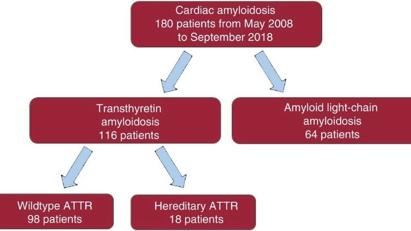 Connection of cardiac amyloidosis and carpal tunnel syndrome