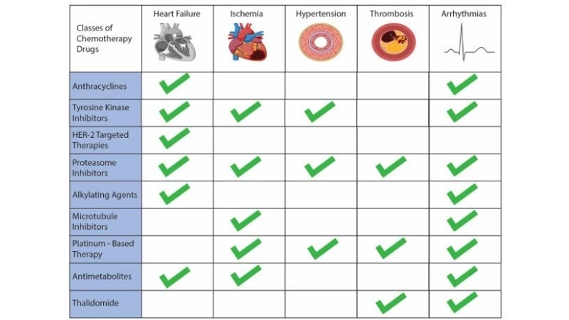Echocardiogram chemotherapy imaging to check heart function