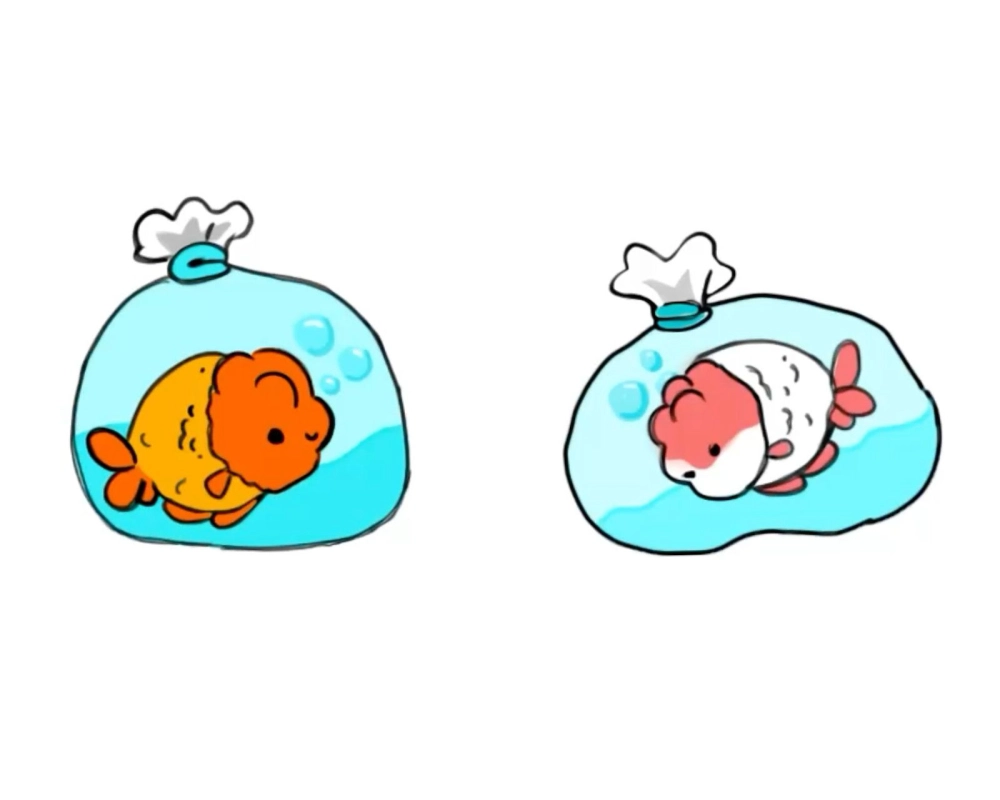 Chibi clownfish reminding of nemo in cute form