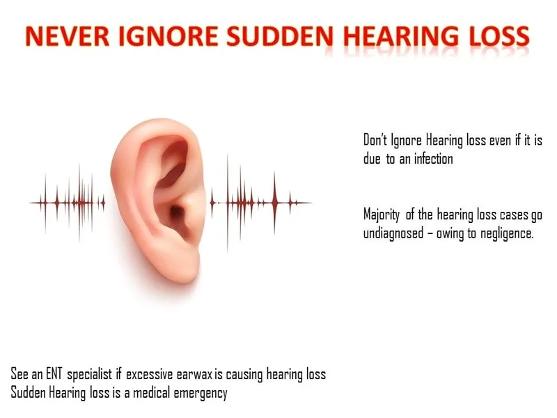 How sensorineural hearing loss affects the inner ear
