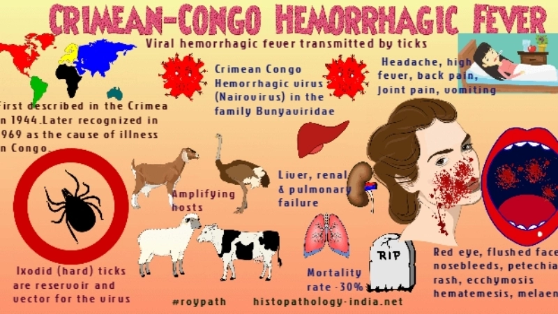 Crimean-Congo Hemorrhagic Fever (CCHF) cases rising worldwide