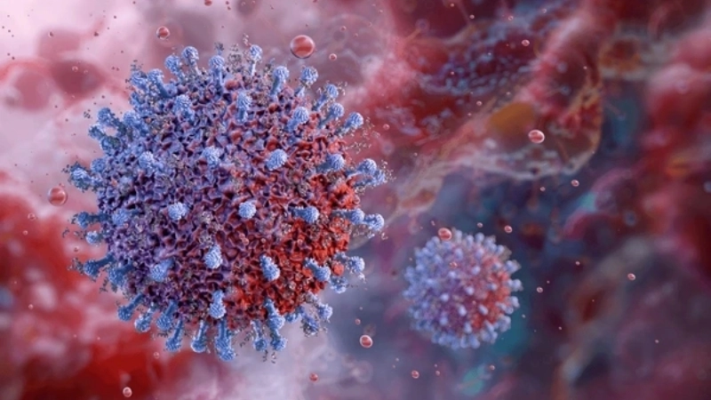 Cytomegalovirus (CMV) Infection cmv retinitis