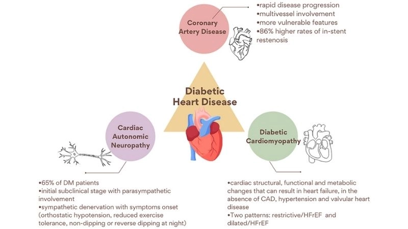 Diabetic cardiomyopathy prevention tips to maintain heart health