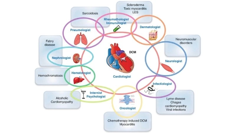 Familial dilated cardiomyopathy runs in families due to mutations