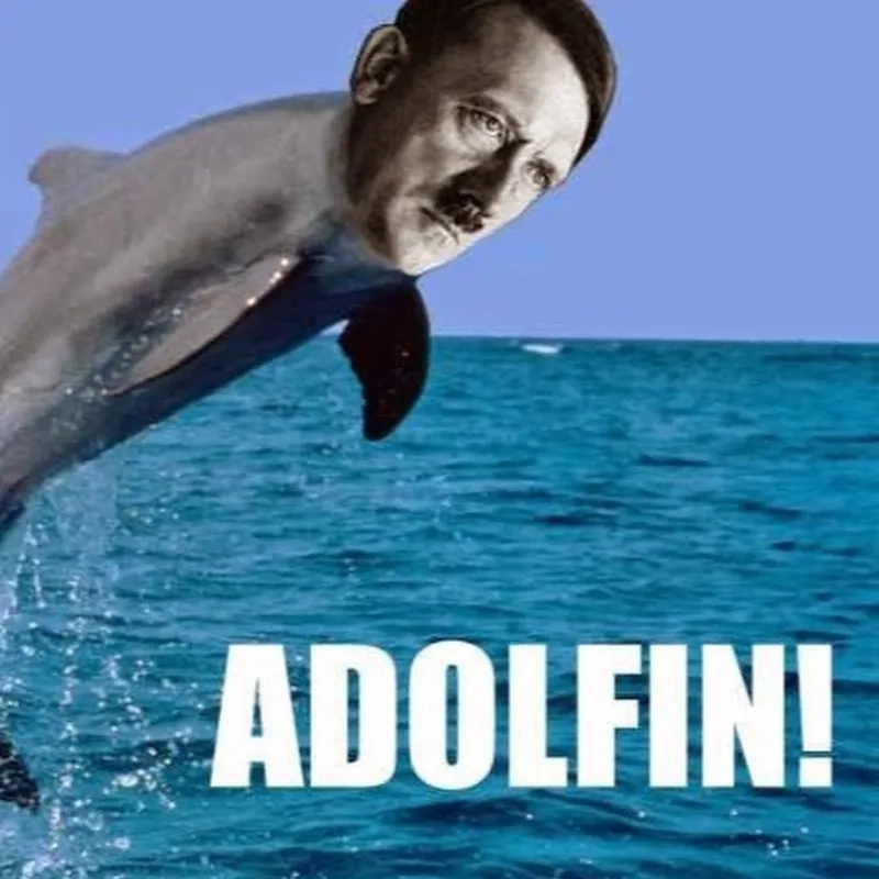Proving that dolphins are smart meme format