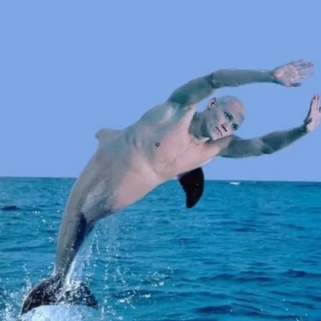 The sound of the dolphin laugh meme