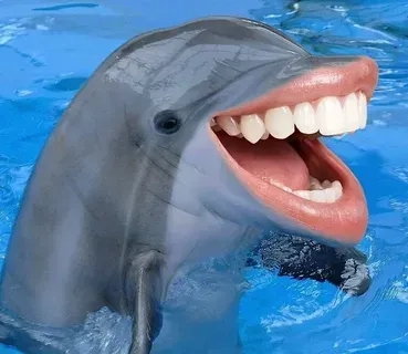 The unforgettable Ecco the dolphin meme