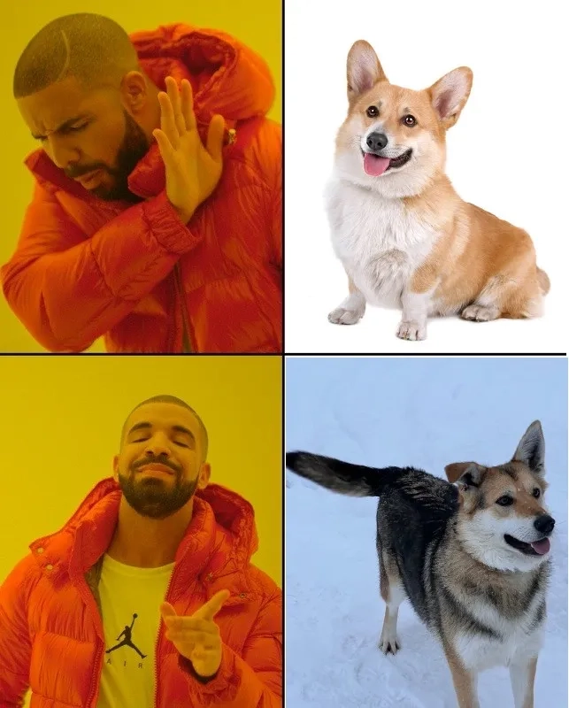 The classic and versatile two-panel drake format