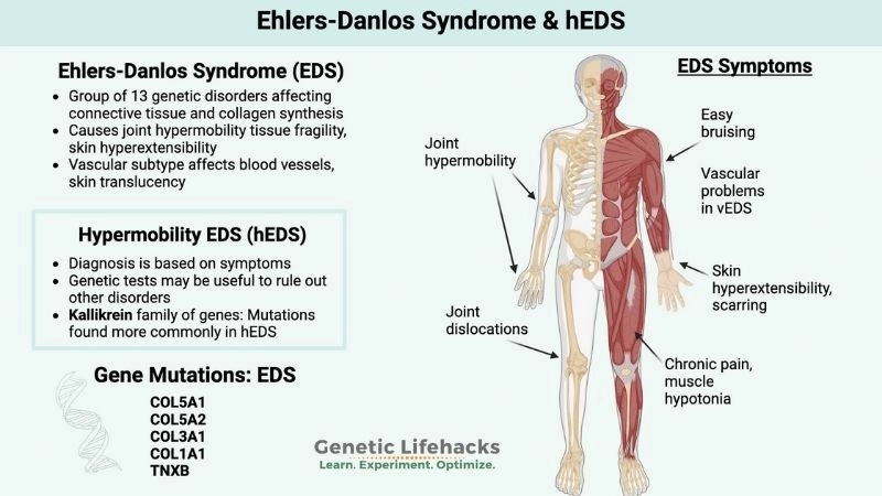 Medical approach to vascular Ehlers-Danlos syndrome diagnosis
