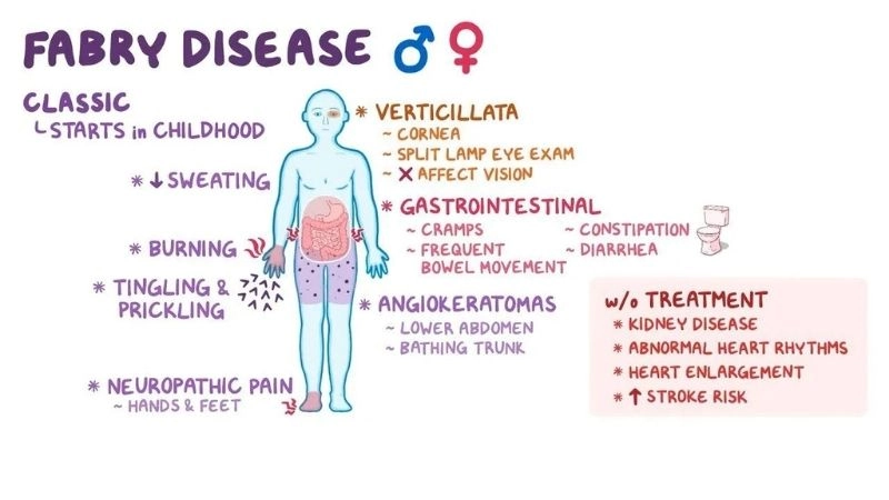 Fabry disease kidney involvement explained
