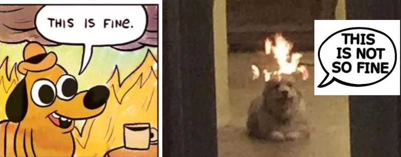Customizing the this is fine meme template for work