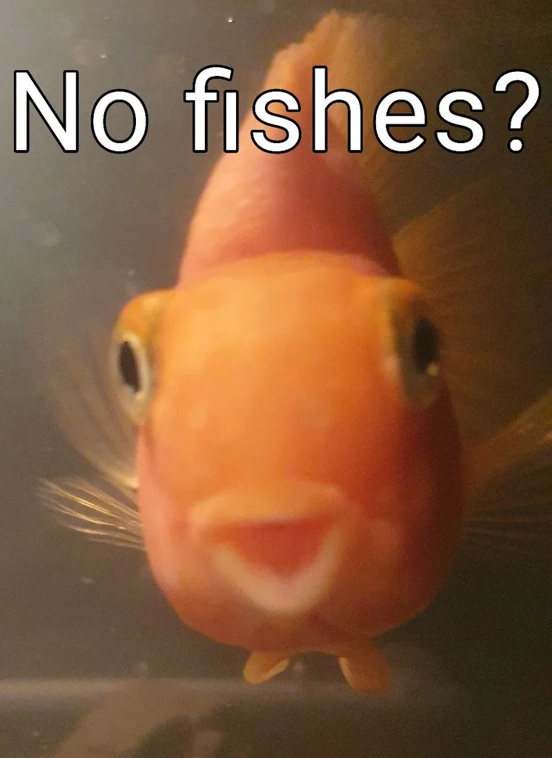 The screaming fish meme is perfect for Mondays