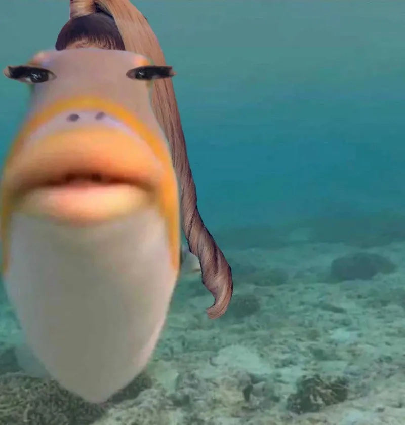 A hilarious example of the fish with legs meme