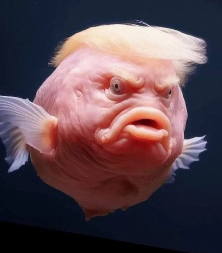 An edit of the loud screaming fish meme