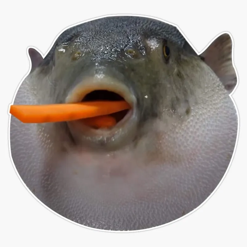 The bizarre yet popular reverse mermaid meme