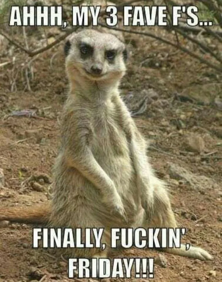 Thank God It's Friday with this tgif meme