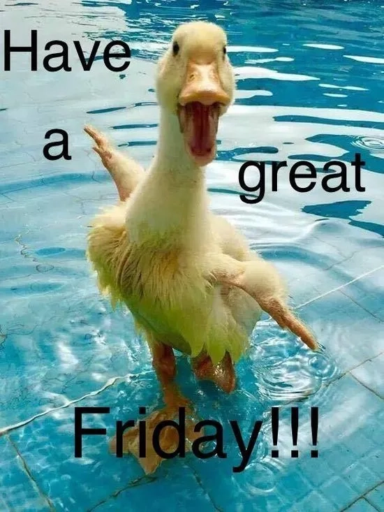 A relatable friday work meme